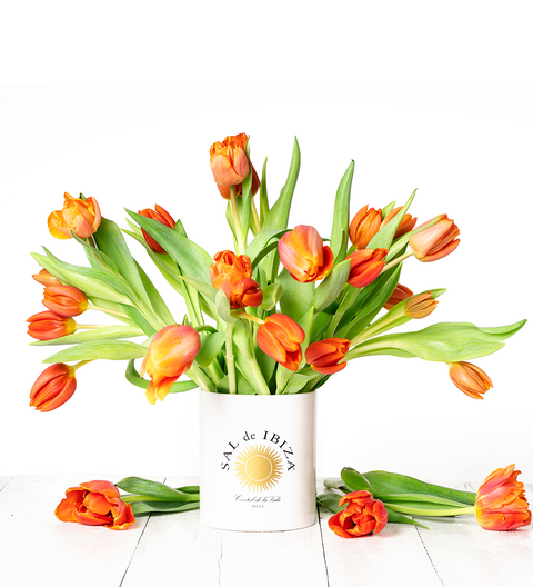 SAL de IBIZA "The Jar"